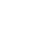 Tampa Bay Nightlife